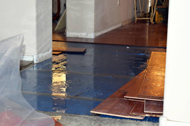 Professional Basement Flood Cleanup technician working in Colbert, WA
